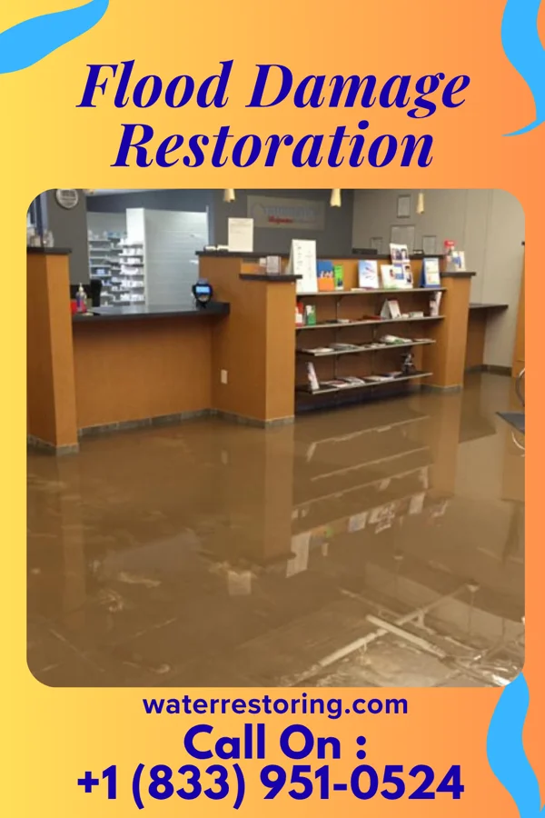 Flood Damage Restoration in Arbyrd, MO