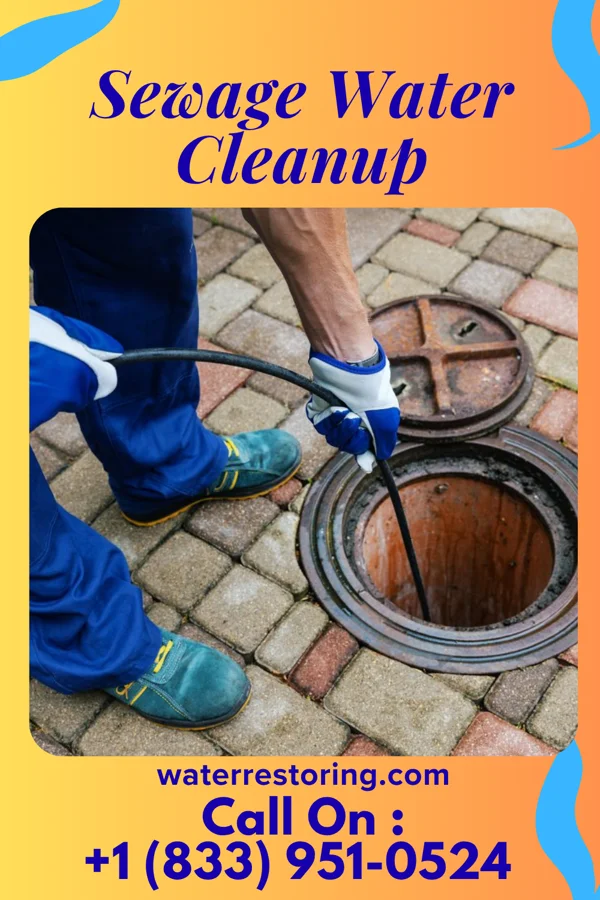 Sewage Water Cleanup in Arbyrd, MO