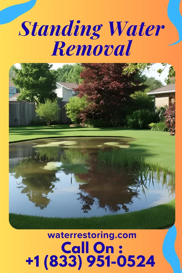 Standing Water Removal in Arbyrd, MO